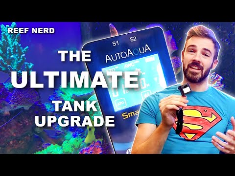 ULTIMATE TANK UPGRADE - Auto Water Change System