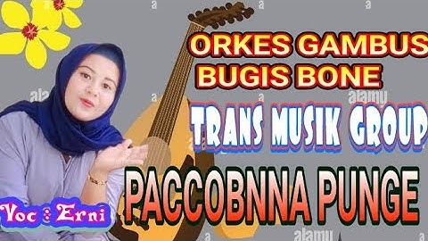 🔰🎶 ORKES GAMBUS BUGIS BONE TERBARU (PACCOBNNA PUNGE) Voc : Erni // TRANS MUSIK GROUP 