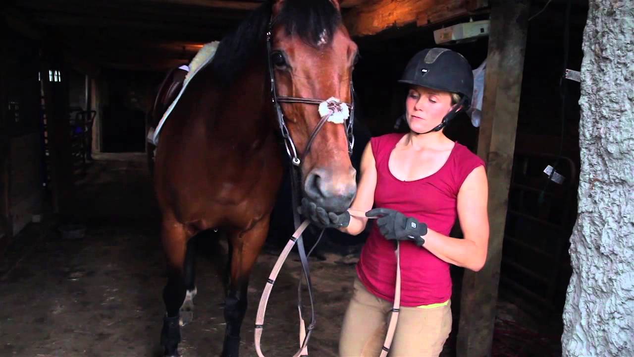 Omega Fields Omega Nibblers