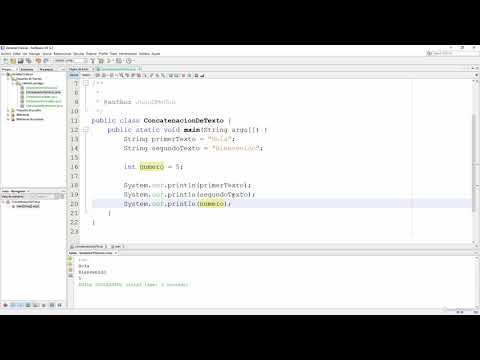 Text and Value Concatenation in Java