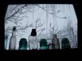 La Veta Blizzard 
