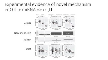 Genetic variation and microRNA targeting of A-to-I... - Eddie Park - iRNA - Talk - ISMB/ECCB 2021