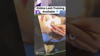 Online Lash Training