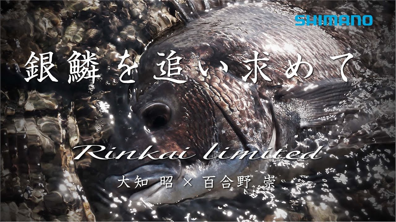 【鱗海リミテッド】銀鱗を追い求める者を昇華させる曲線美【大知昭/百合野崇】