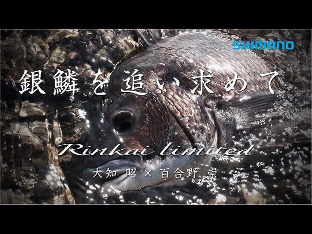 鱗海リミテッド】銀鱗を追い求める者を昇華させる曲線美【大知昭