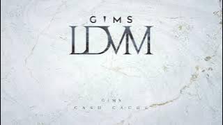 GIMS - CASH CACHE (Audio officiel)