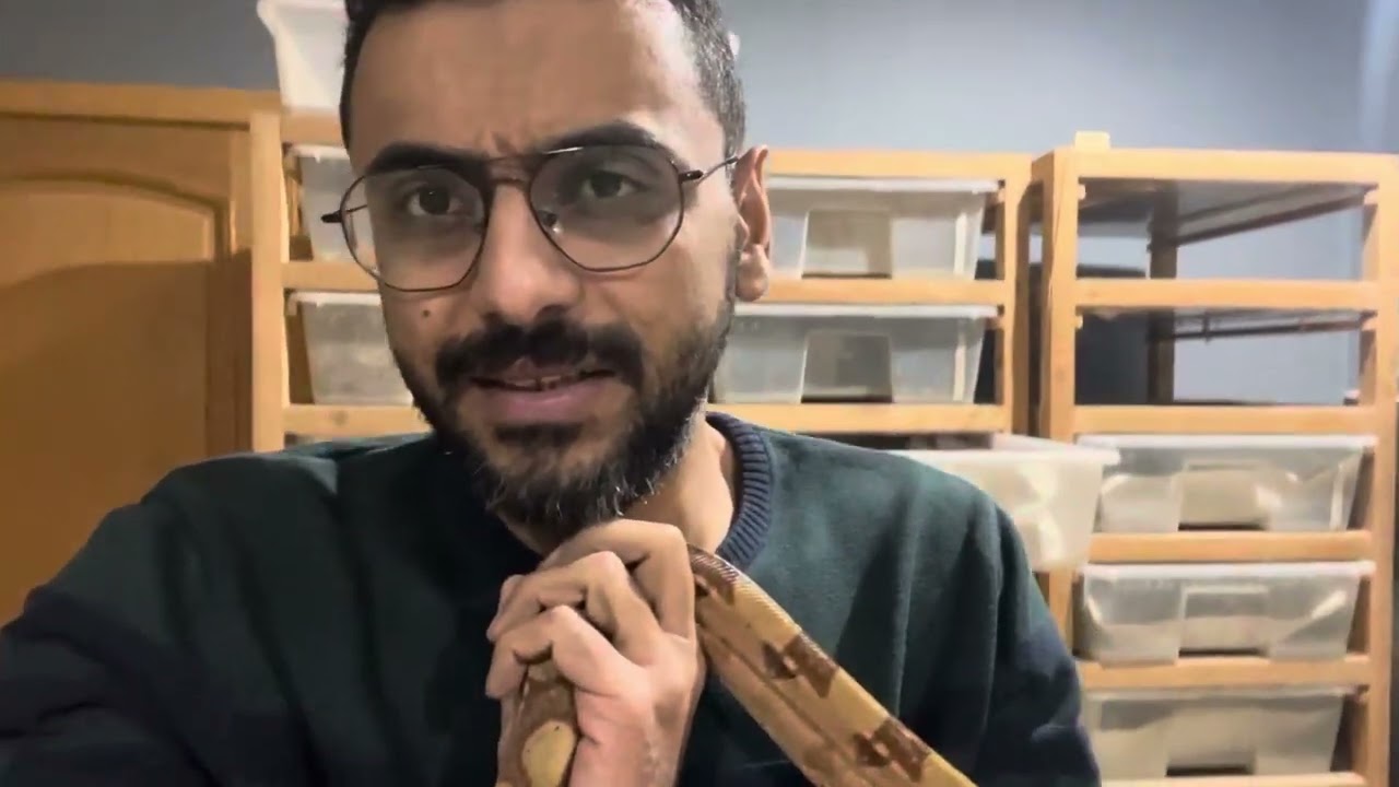 نقطة و من اول السطر | عدنا