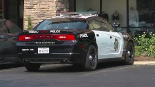 Contracted cops protecting Fresno storefronts