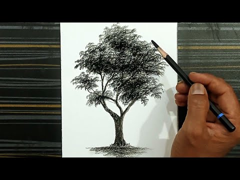 How to draw a tree by pencil with easy ways for beginners.
