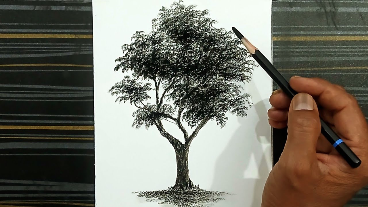 How to draw a tree by pencil with easy ways for beginners. - YouTube