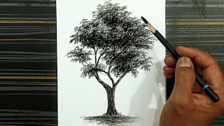 How to draw a tree by pencil with easy ways for beginners.