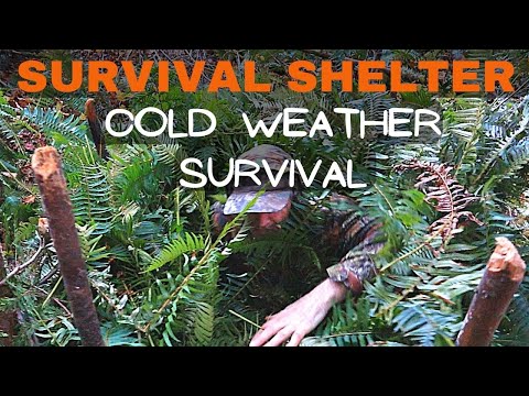 Building Emergency Survival Shelter | Nest in the Woods