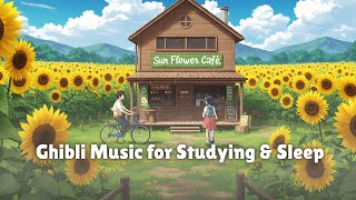 Summer Wind in the Sunflower Fields π» Ghibli Music for Studying & Sleep
