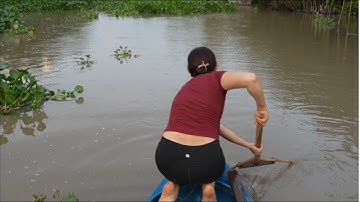 1767 / Lần xúc cá kỷ lục nhiều chưa từng thấy