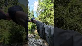 3 схода на одном месте) попал на дурную форель #fishing #mushroom #troutstream #nature #грибочки