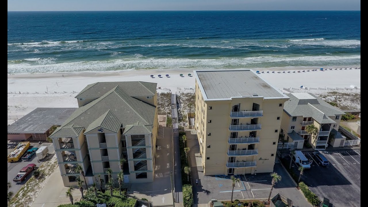 Turtle Walk 301 YouTube