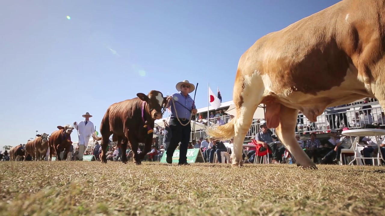 Beef Australia 2018 - you will see us from space