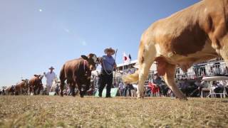 Beef Australia 2018 - You Will See Us From Space