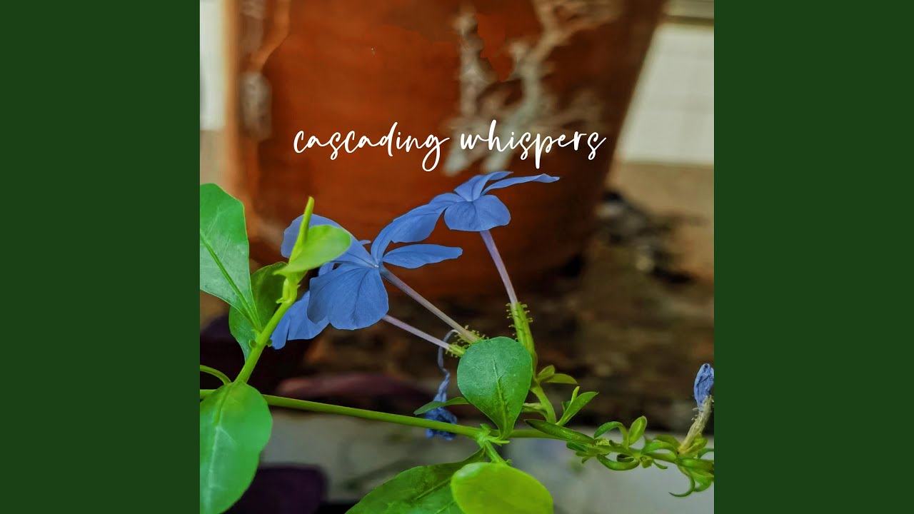 Guarda Dreamlike Musing su YouTube Guarda Dreamlike Musing su YouTube