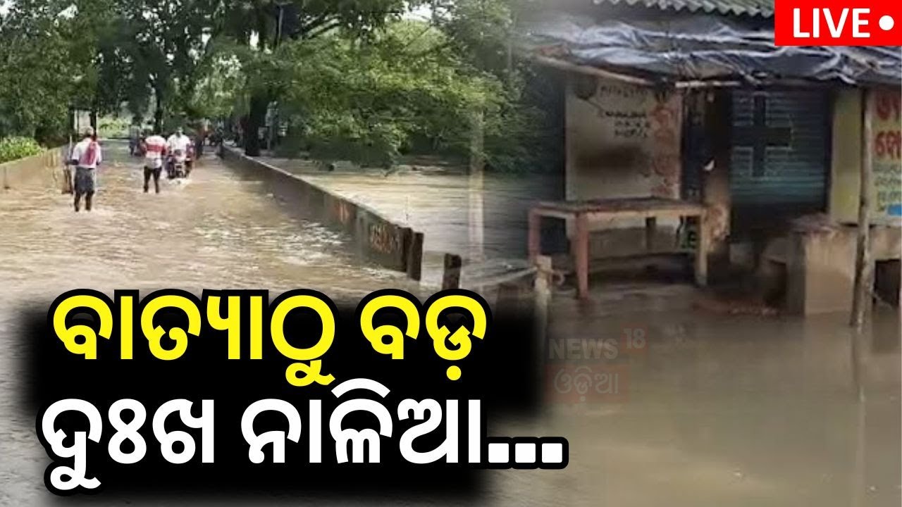 Cyclone News Live: ବାତ୍ୟାଠୁ ବଡ଼ ଦୁଃଖ ନାଳିଆ... | Cyclone Dana News | Bhadrak Flood News