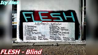 Flesh - Audiopunk 3