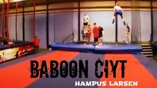 Hampus Larsen - Baboon City