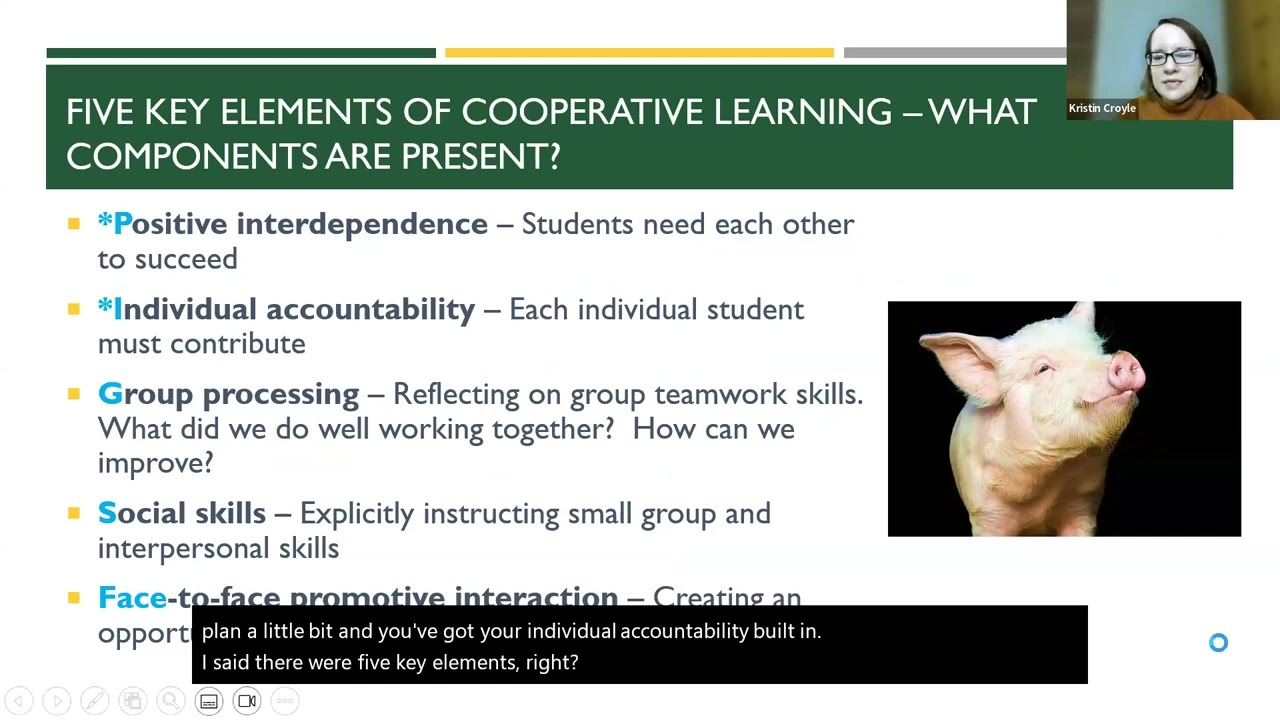 Session 17: Small group work that works vs. groups that fail