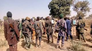 Bandits Kidnap 31 in Fresh Katsina Attack, Kill Former Plateau Legislator