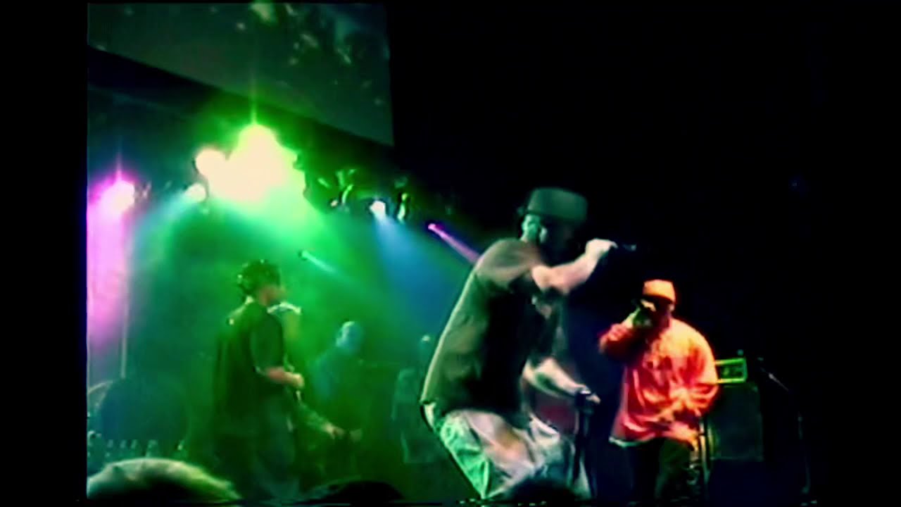 SAINT DOG with Mellow Man Ace Breaking the glass