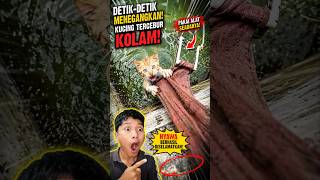 Nyaris Tenggelam‼️Anak Kucing Ini Akhirnya selamat 😱🥰🐈 #kucing #cat #shorts