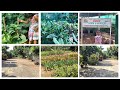 Biggest nursery in Bengaluru with variety of plants|Farm|Garden|best place to buy plants|VLOG