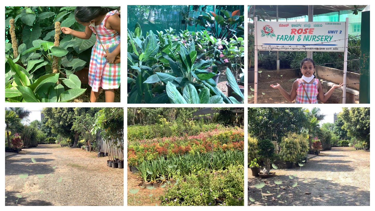 Biggest nursery in Bengaluru with variety of plantsFarmGardenbest