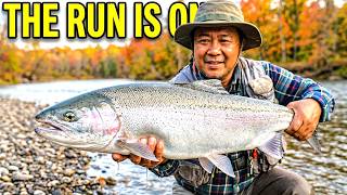 The Lake Erie Steelhead Run Has Officially Begun!! Ohio Steelhead Fishing!!