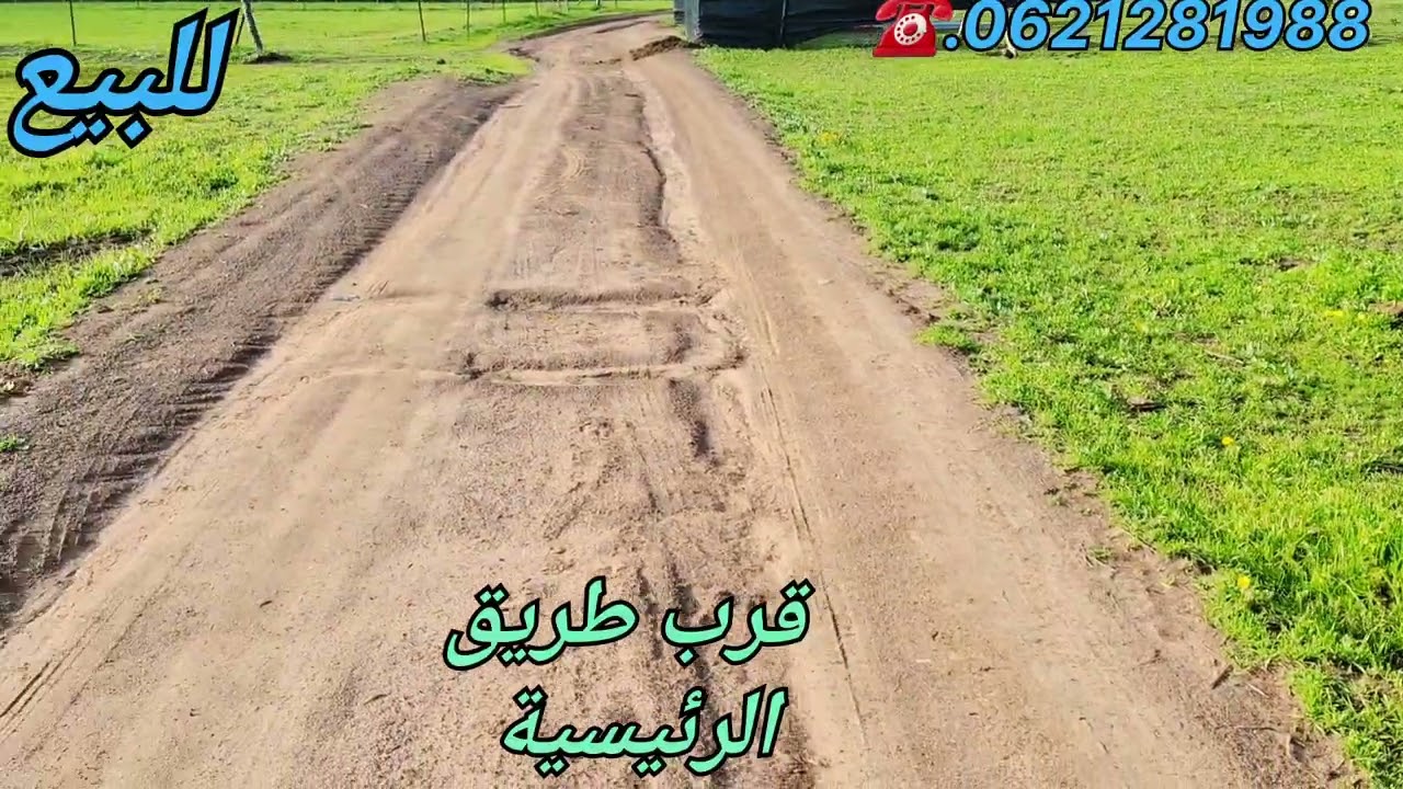 ارض 1000متر بأم عزة 26كلمتر لرباط تمن 34مليون☎️0621281988 