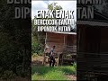 Enak enak || bercocok tanam di pondok hutan - #shorts