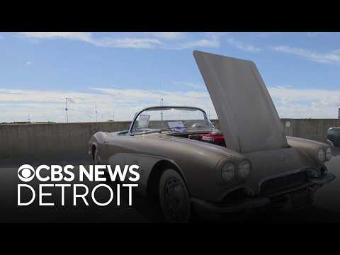 Stellantis hosts 'Wild Wheels at Work' car show