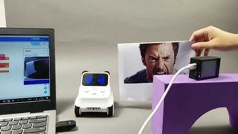 Codey Rocky-Emotion Recognition