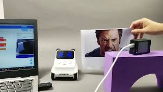 Famous Codey Rocky-Emotion Recognition Wealth
