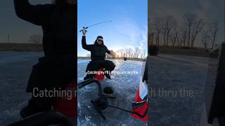 Biggest Largemouth Bass Ive caught thru the ice 🥶 #fishing #bassfishing #outdoors #family #subscribe