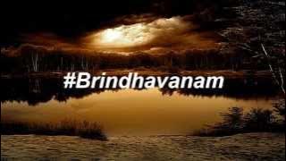 BRINDHAVANAM - RAJ PIRATE | KAYDEE // LYRICAL VIDEO