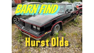Hidden Classic Car - 1983 Cutlass Hurst Olds