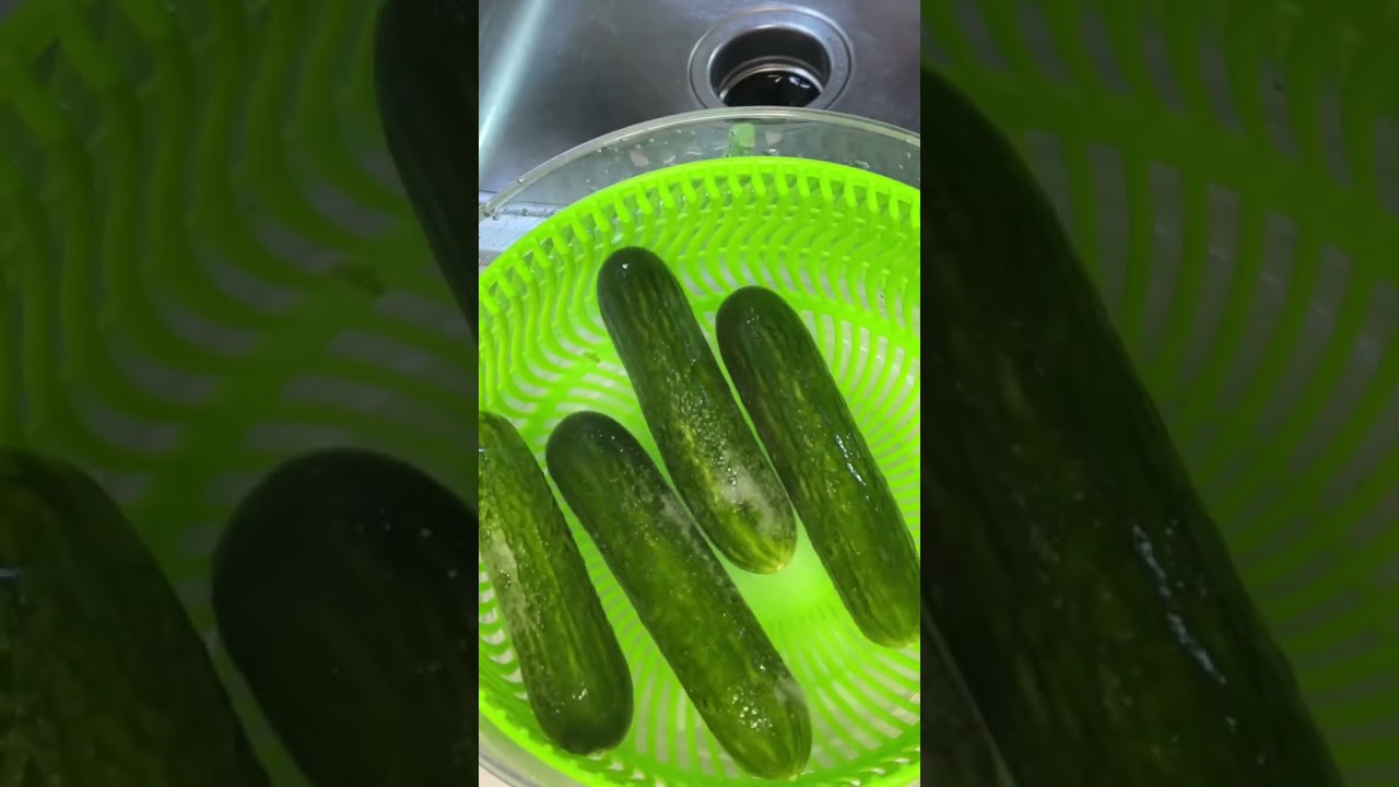 Middle eastern Lamb chops with yogurt salad 