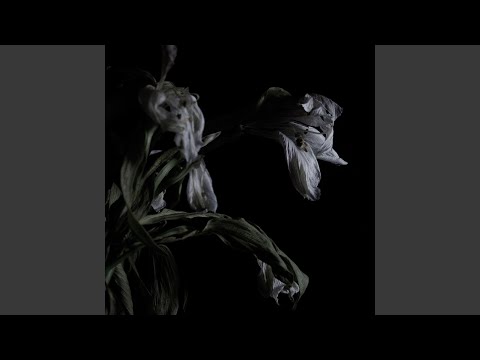 Cavernlight — Lay Your Woes Upon the Ground & Know That the End Will Soon Swallow You