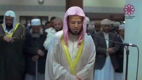تلاوة خاشعة جدا للشيخ ابو بكر الشاطري | تلاوة مبكية