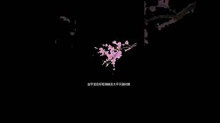 《繁花》小说简介:茅盾文学奖.作者:金字澄.