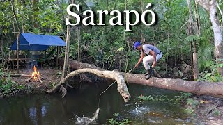 AVENTURA MATA A DENTRO: Acampamento na SELVA e PESCARIA noturna.