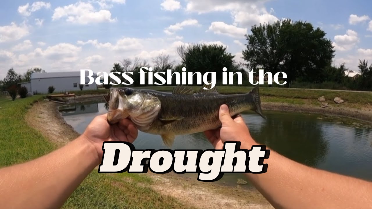 Bass fishing in the drought! 🐟🔥☀️