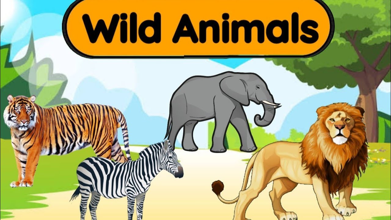 Wild Animals for kids | Domestic Animals | Animals around us ...