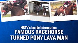 HRTV Original: Famous Racehorse Turned Pony Lava Man