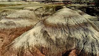 Petrified Forest by Air by Percy Lipinski 36 views 2 years ago 1 minute, 19 seconds